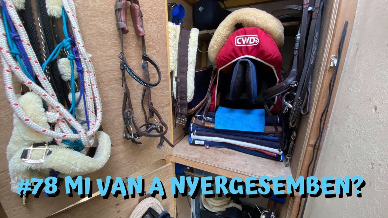 MI VAN A SZEKRÉNYEMBEN?!