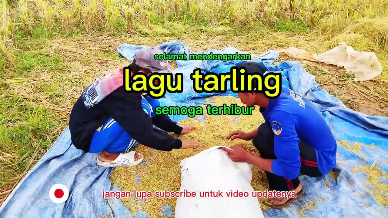 TARLING CIREBONAN TERPOPULER PILIHAN TERBAIK BASS PALING EMPUK