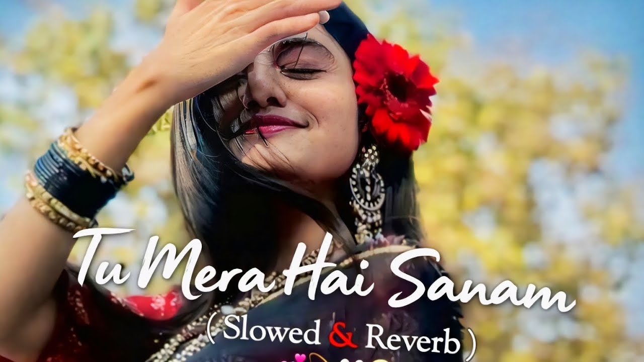 Tu Mera Hai Sanam | Romantic Hindi Song | #romanticmusic #music #song 