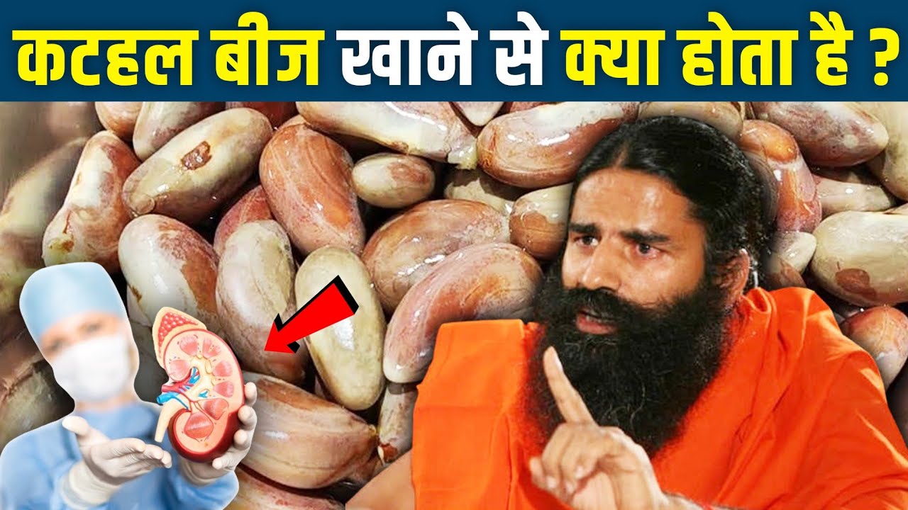 कटहल के बीज खाने से पहले जरुर देखे || Jackfruit Seeds Side Effects