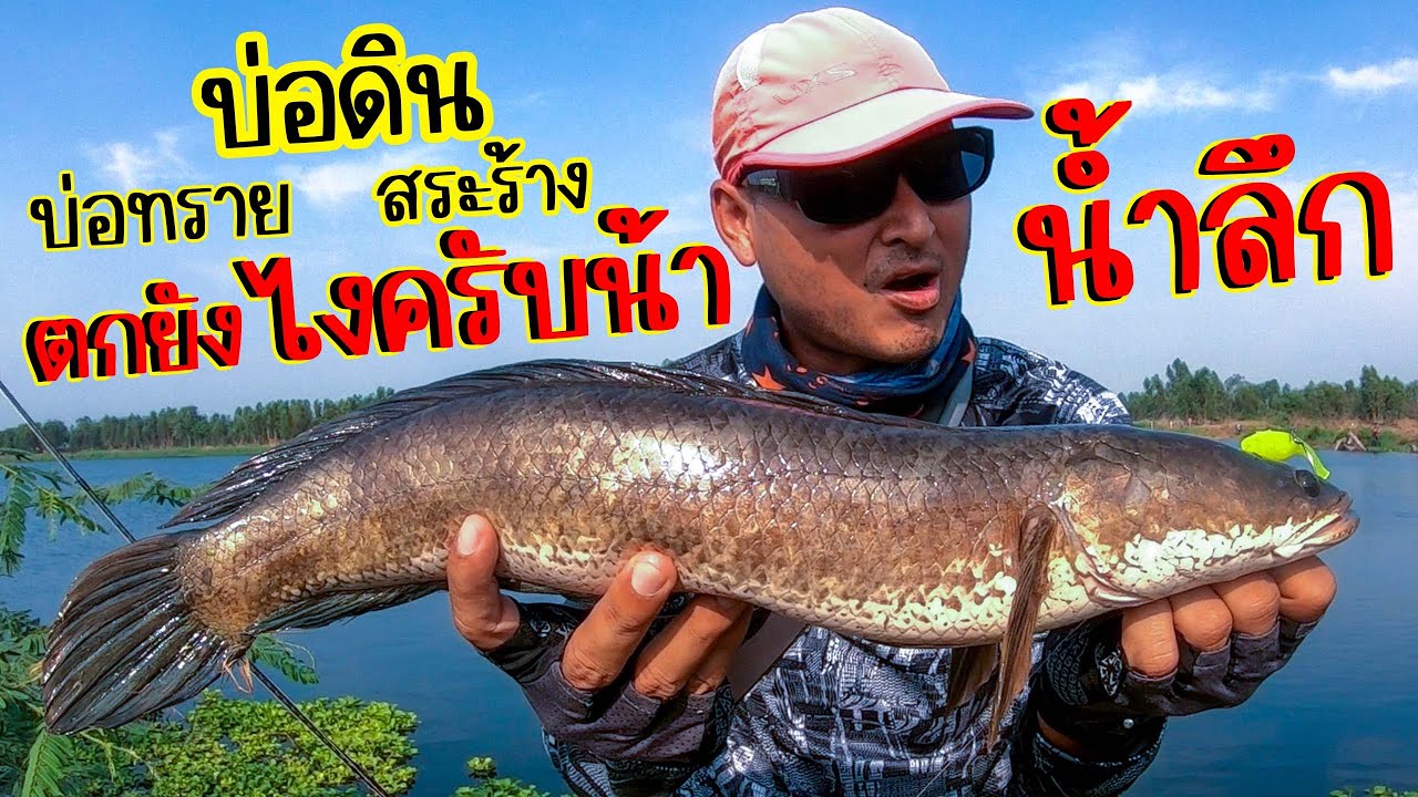 วิธีล่าปลาช่อนหมายน้ำลึก!!หาจุดตีตามนี้??ให้น้ำลึกแค่ไหนก็ไม่รอด | ไอ้หนูเชื่อน้า
