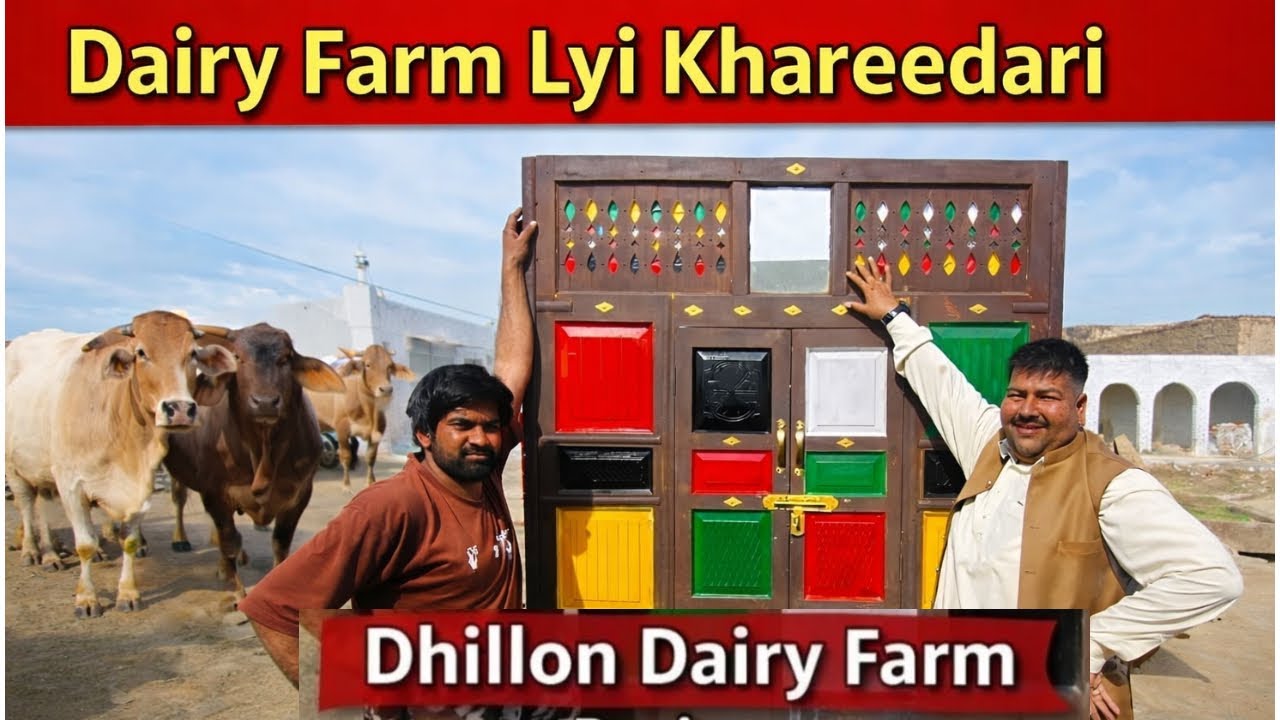 Sikandar Te Mein | Dairy Farm Di Khreedari | Dhillon Daily Farm Panjwar | Faisal Dhillon 
