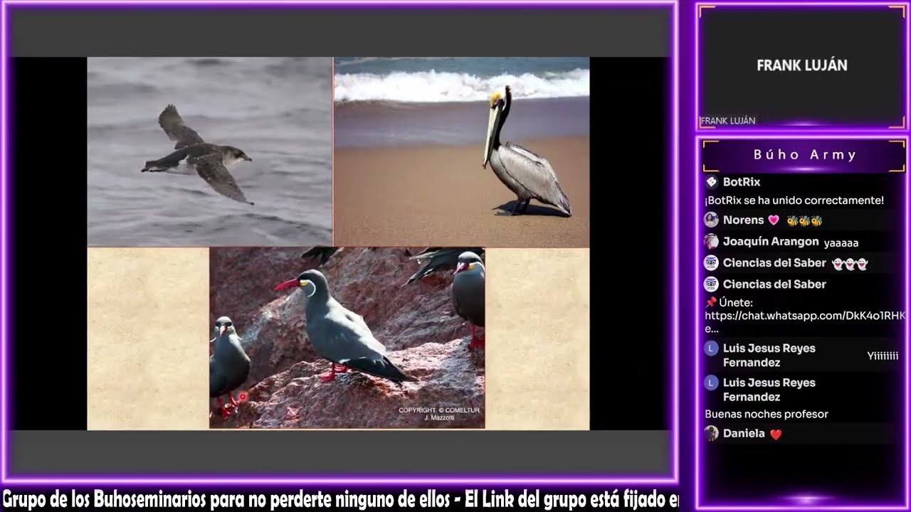 🔴 Ecosistemas del Perú - Geografía | UNMSM 🦉