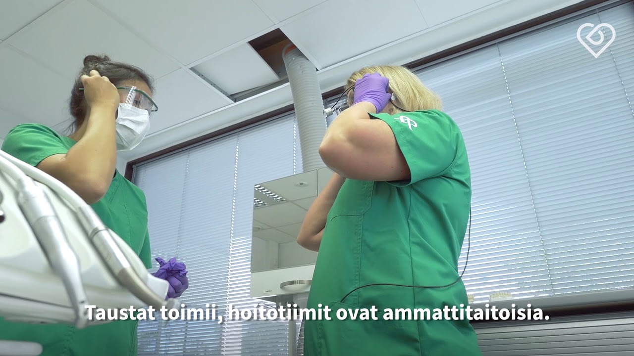 Töissä Hammas Mehiläisellä