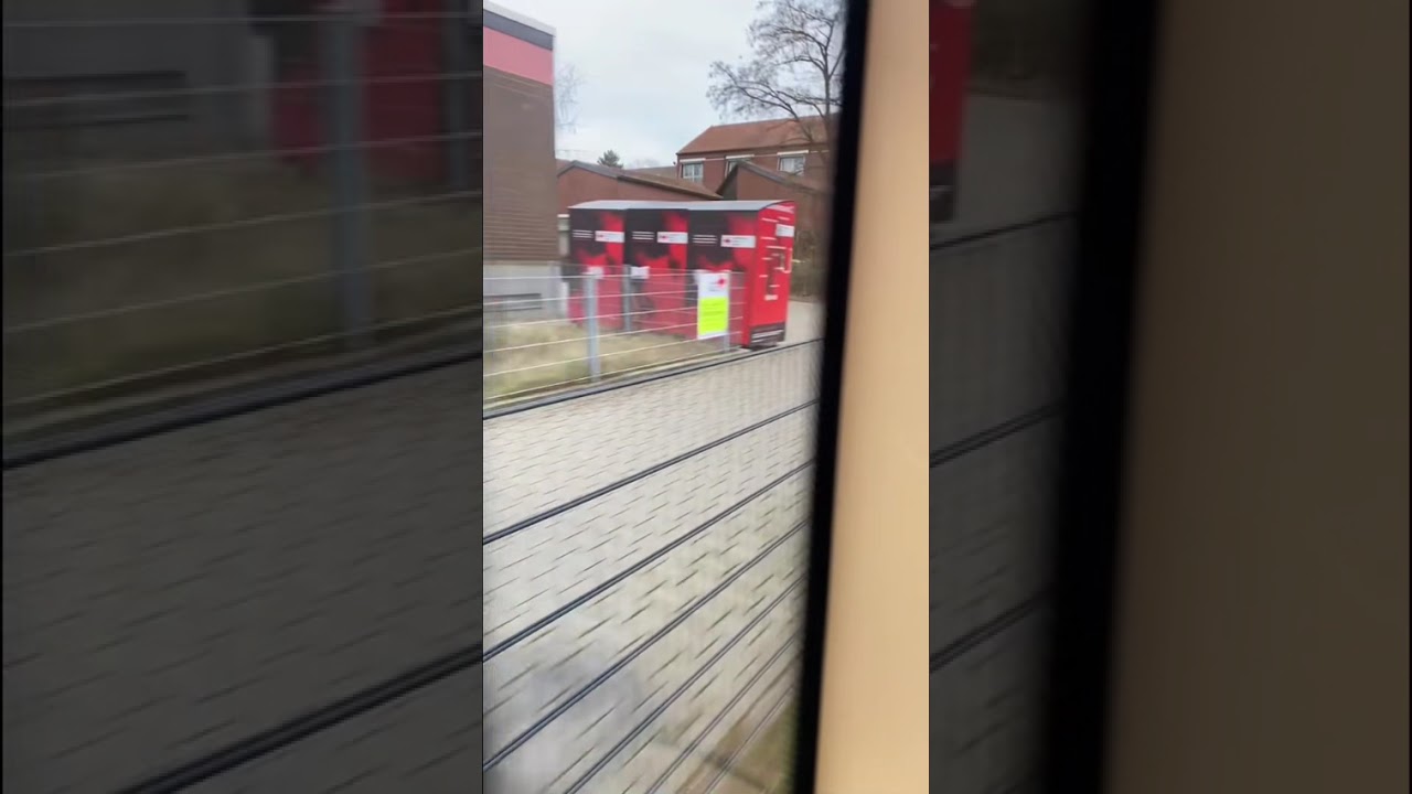 Straßenbahn Mannheim Linie 4: Hermann-Gutzmann-Schule - Waldfriedhof 