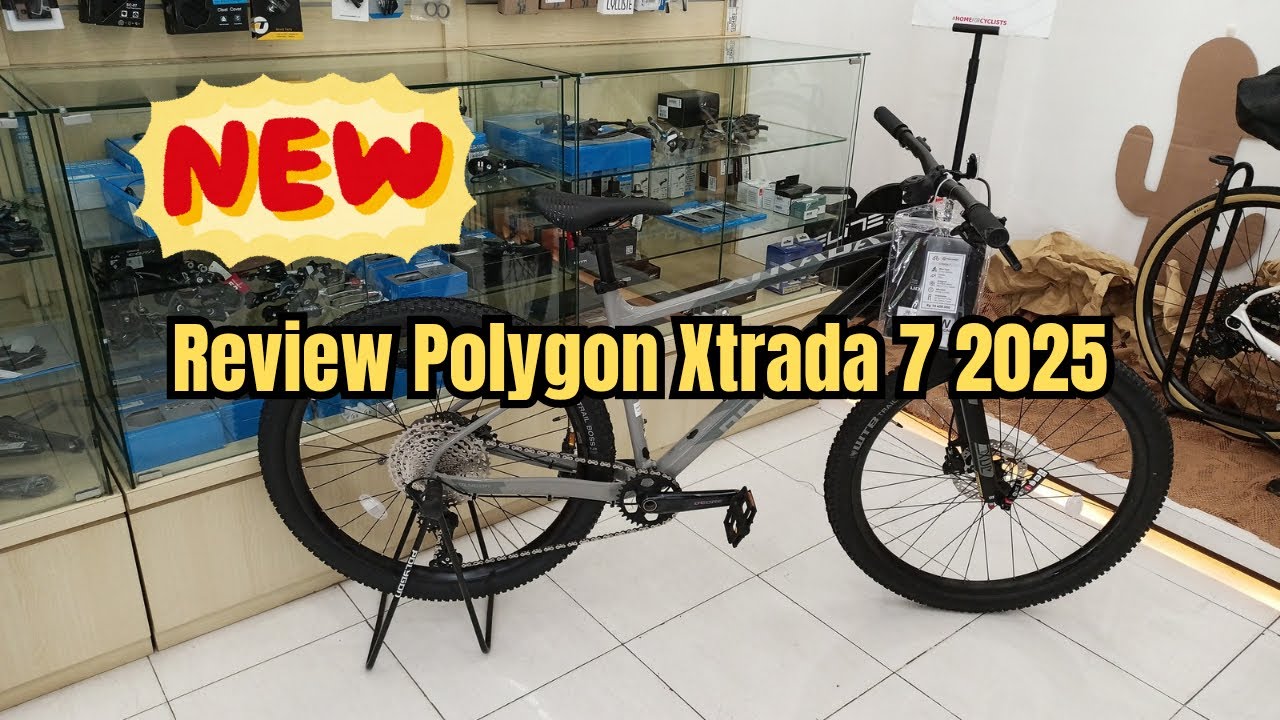 Review Polygon Xtrada 7 terbaru 2025