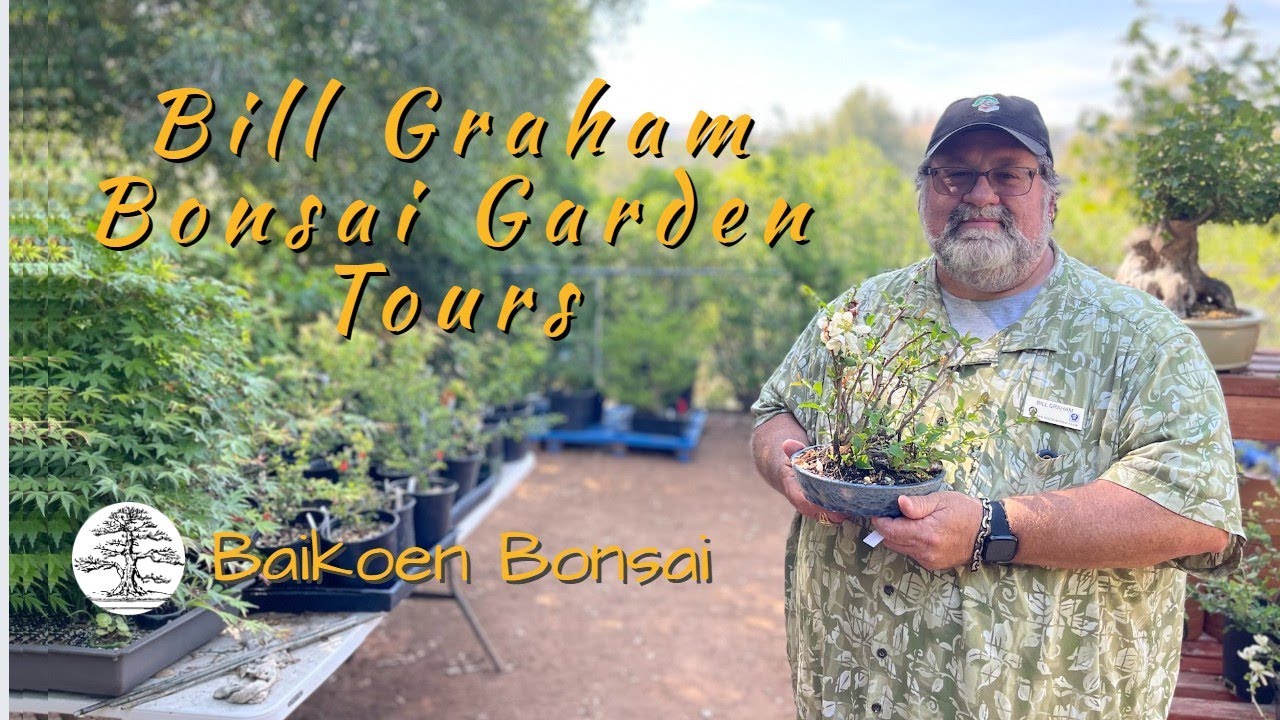 Bill Graham - Bonsai Garden - Baikoen Bonsai Club