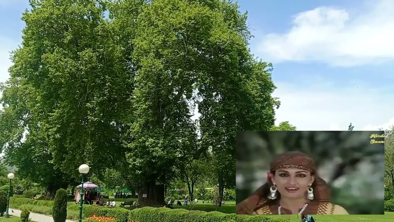 Bollywood Song Shooting location at Kashmir #Verinag | Tripal Ech Vlog