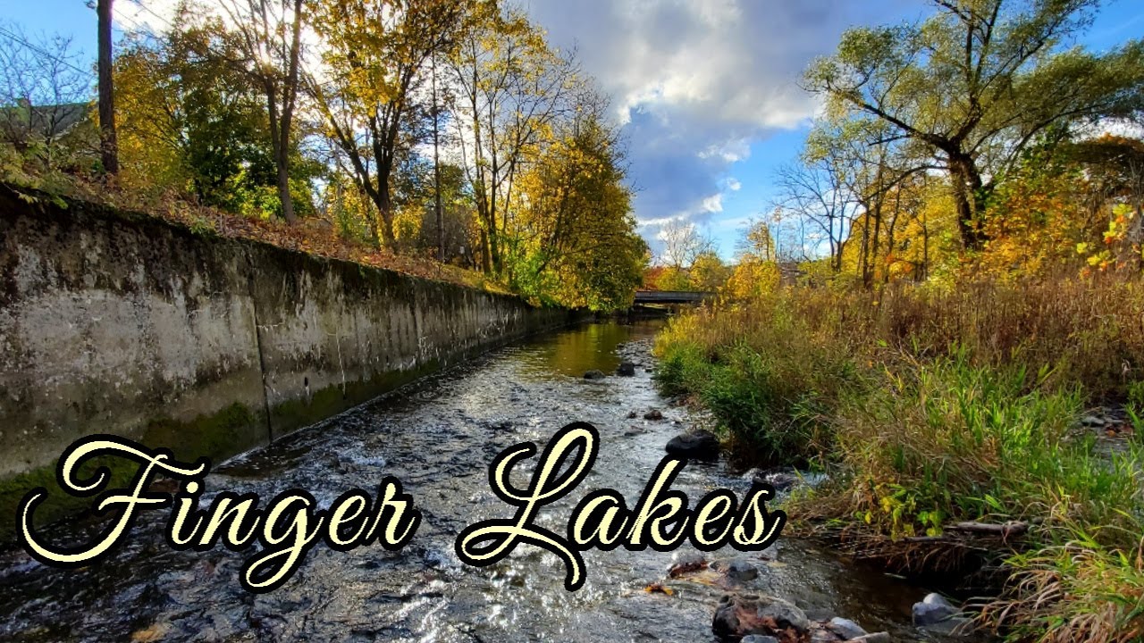 Finger Lakes Fishing - Salmon, Trout, and Smallmouth