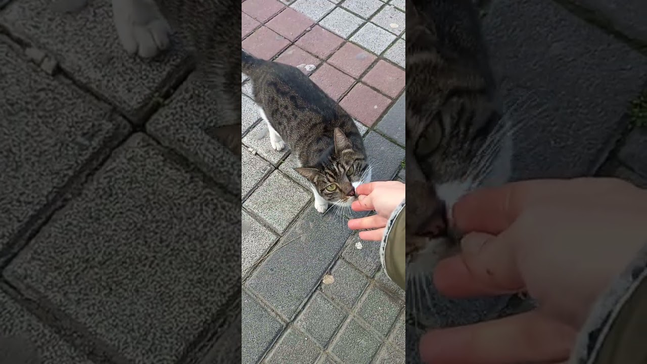 Ramazanda açın halinden anlayalım