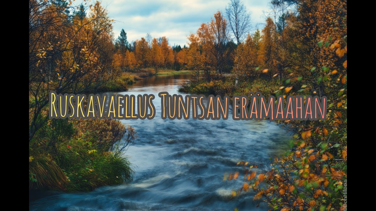 Ruskavaellus Tuntsan erämaahan | Lapissa syksyllä 2019 | Retkiruoka: Coca-Cola pastabolognese