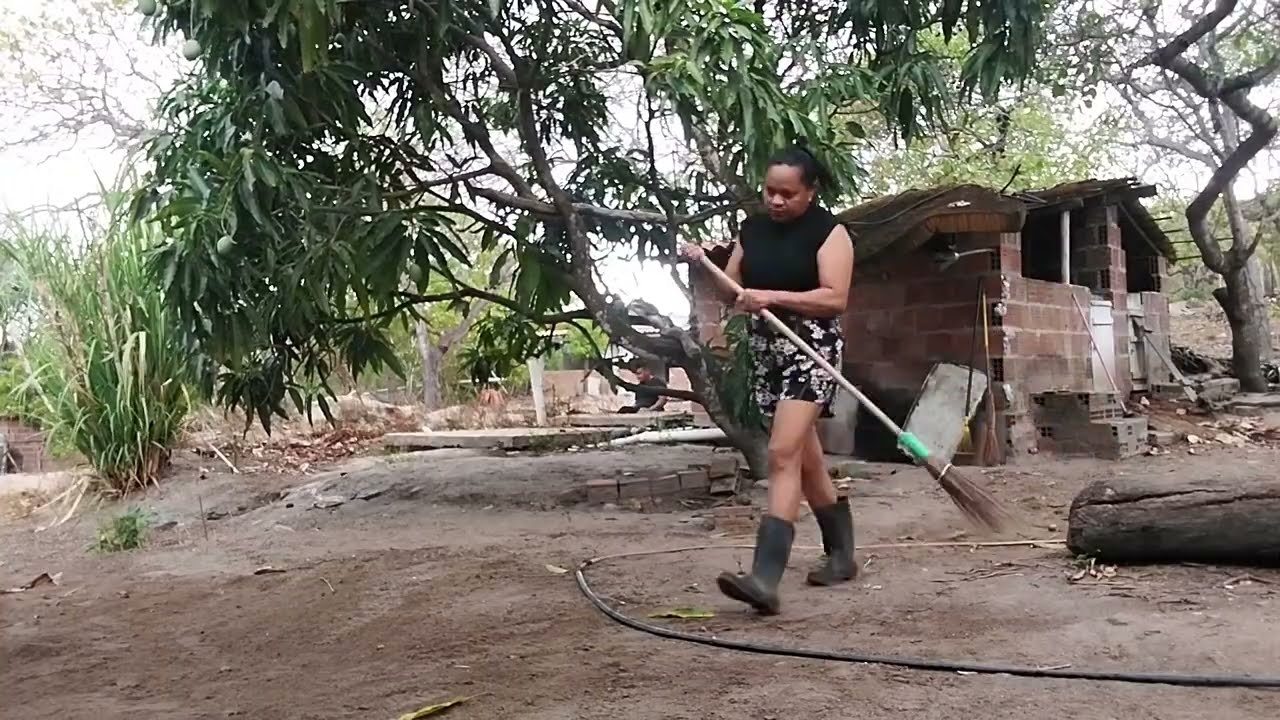 30 de novembro de 2025