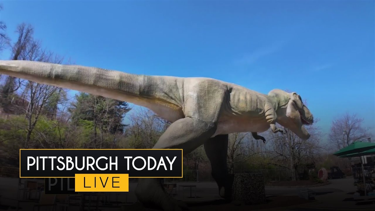 A sneak peek of all that's new at the Pittsburgh Zoo