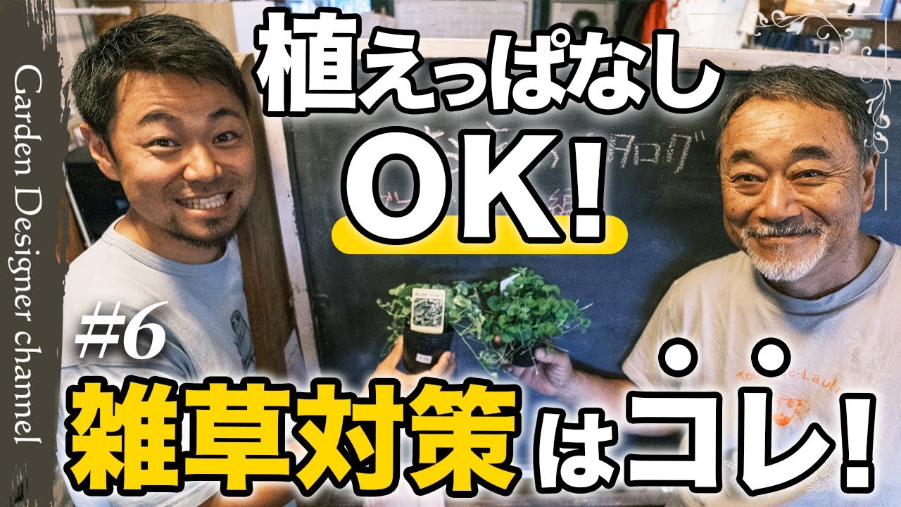 【総集編】グランドカバーでお庭の雑草対策！グリーンギャラリーガーデンズが選ぶ植物の集大成！【植栽】【Best ground cover plants】