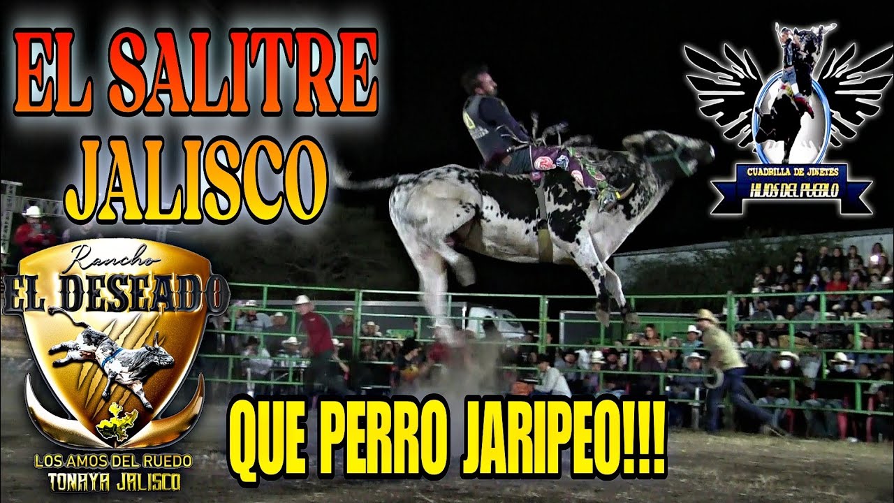 ‼️SE LA RIFARON LOS JINETES ‼️QUE PERRO JARIPEO 🔥 Rancho El Deseado en El Salitre Jalisco 2025 💥