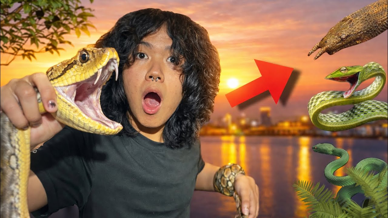 Finding “20 SNAKES” in ONE NIGHT?? | Herping vlog ep.17 🐍