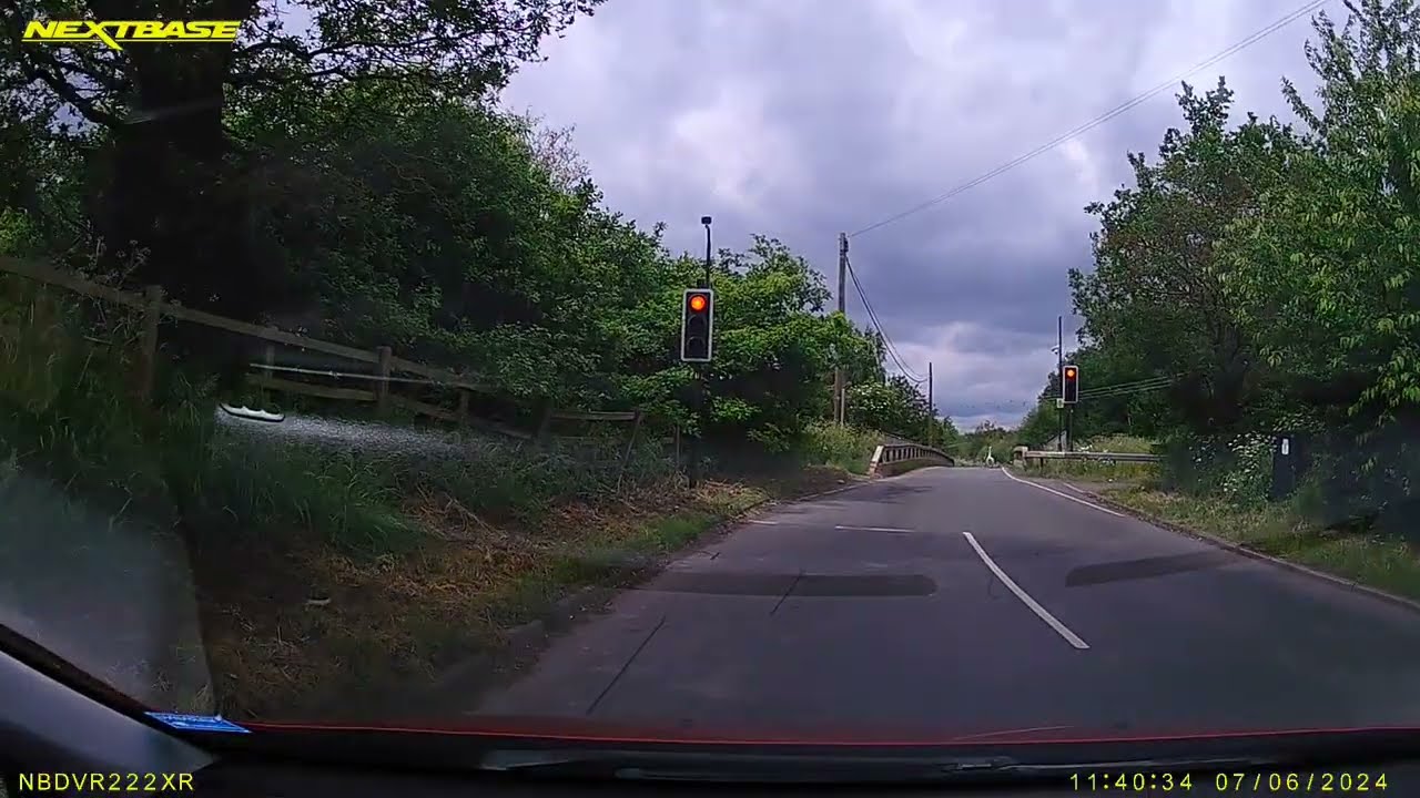 Swan vs traffic, I was here first!