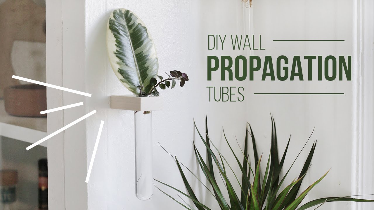 DIY Wall Propagation Tubes/Bud Vases