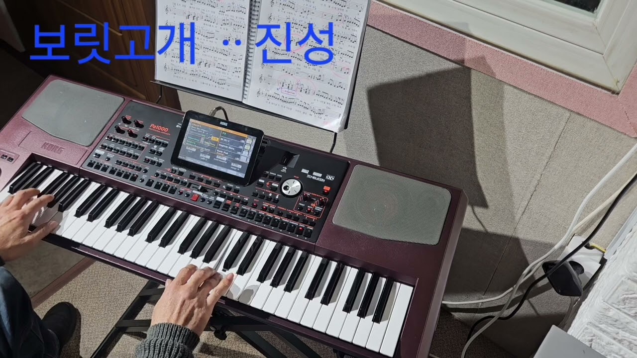 #3곡연속 연주 #돌아와요 부산항에ᆢ조용필 #보릿고개 ᆢ진성 #그리움은 가슴마다ᆢ이미자 #와니연주
