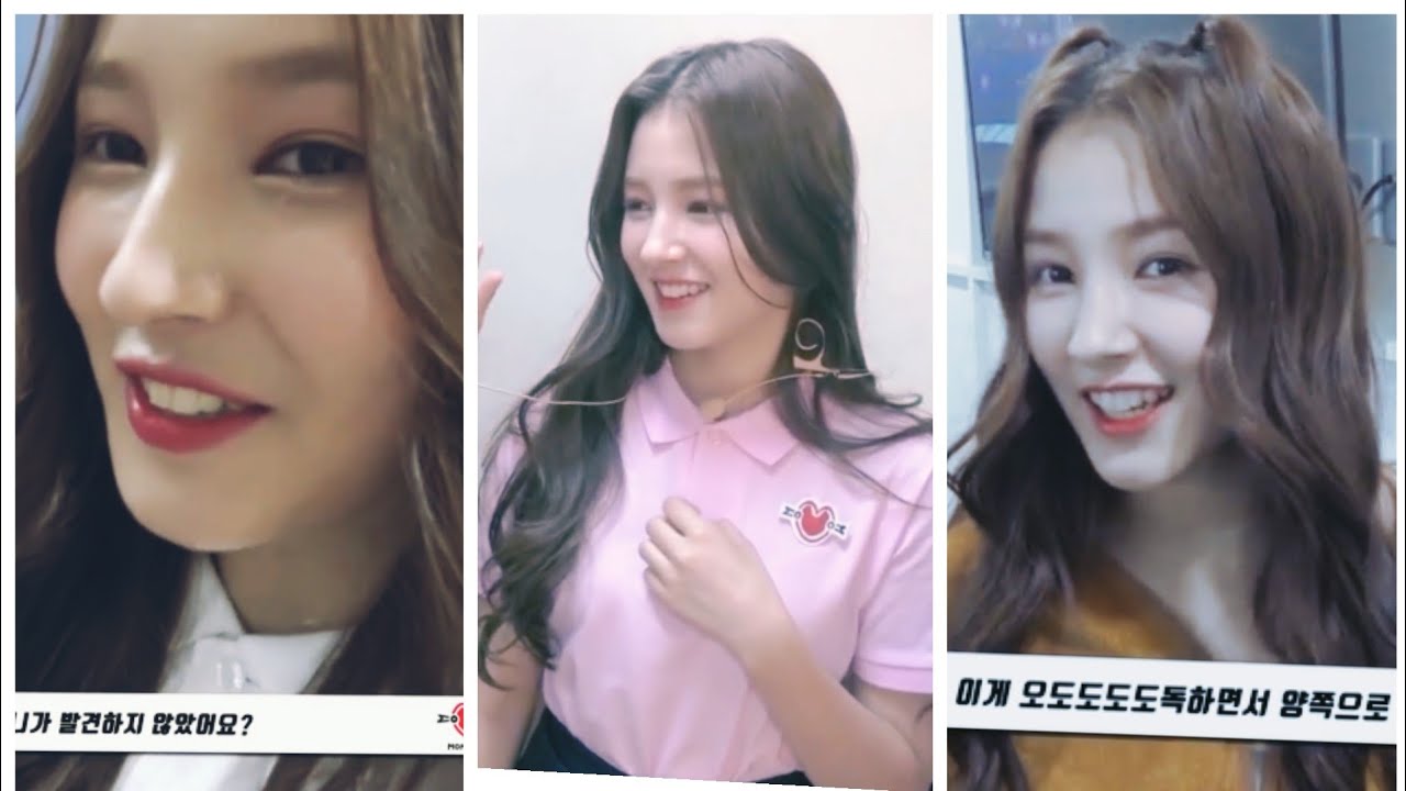 Tiktok Video / Nancy's Laugh Compilation Part 3