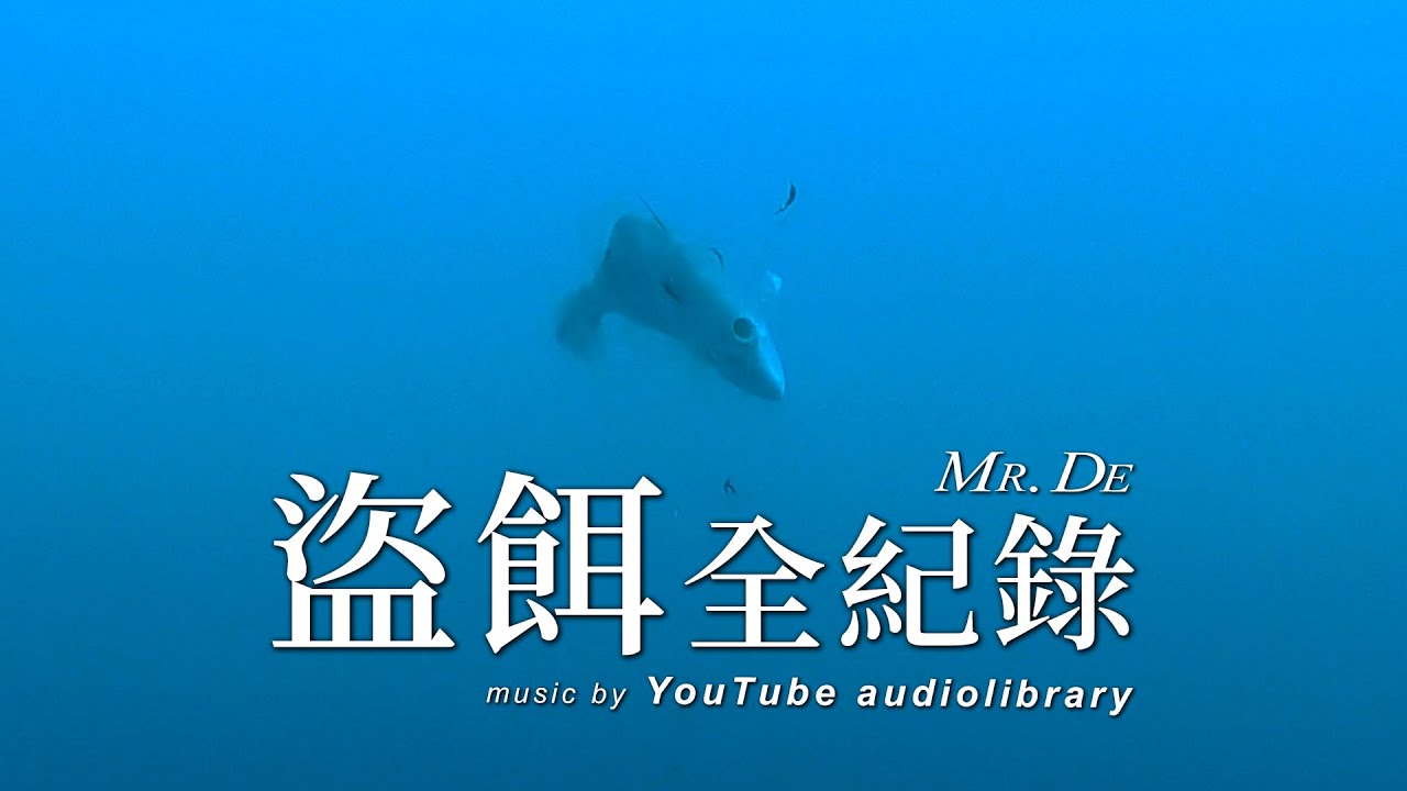 2020/10/26 【水中映像】盜餌全紀錄 - 剝皮魚