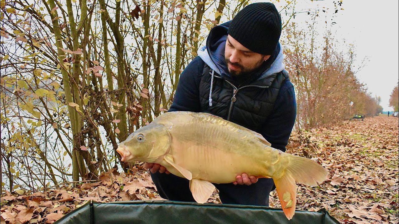 Carpfishing : Sessione in solitaria