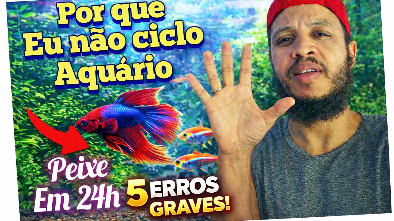 Esse vídeo é 2 em 1 