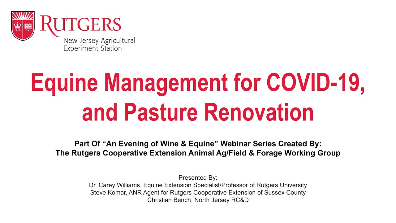 Equine Management for COVID 19 and Pasture Renovation