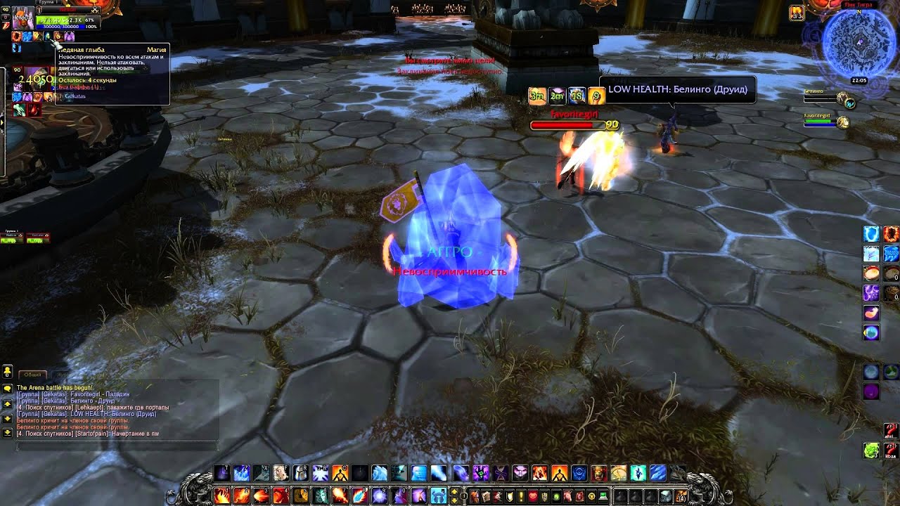 Nelion with Warlock vs Druid and Paladin