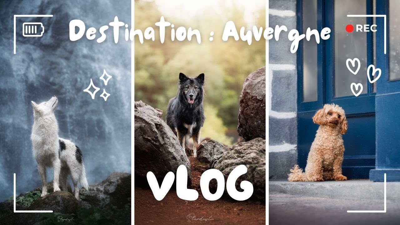 Seule en Auvergne : vlog d'un super séjour!