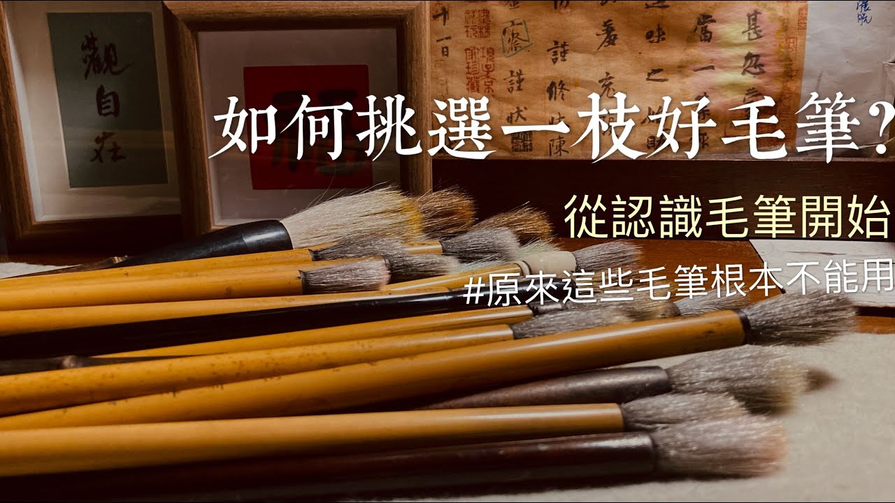 買毛筆之前必看| 如何挑選一枝好毛筆｜認識毛筆｜書法初學應該用什麽毛筆？原來這些毛筆根本不能用 Chinese Calligraphy Tutorial