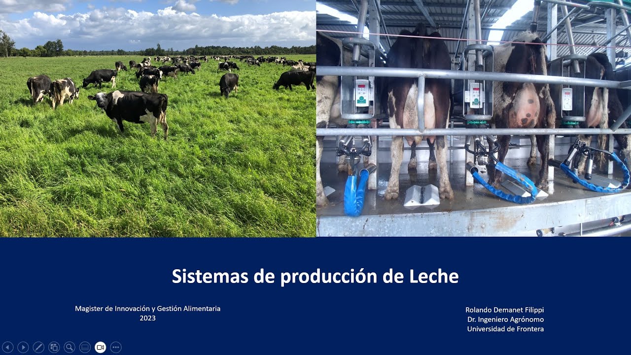 Sistema de producción de leche