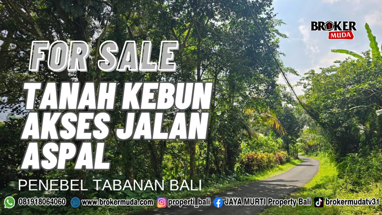 DIJUAL TANAH KEBUN VIEW SAWAH AKSES JALAN ASPAL 