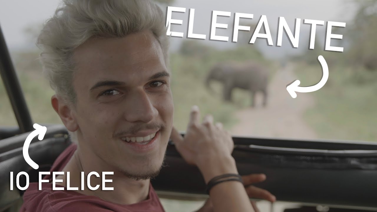 Alla ricerca dell'elefante perduto 🇷🇼 Rwanda 2021