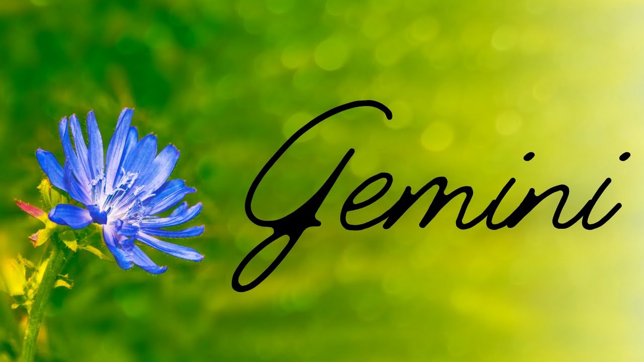 Gemini🌿This Is YOUR PERSON - Soulmates/Twin Flames💙Such A Perfect Match!🌿Singles/New