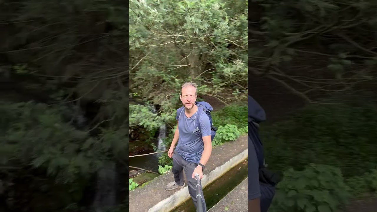 Благодарность за красоту острова Мадейра