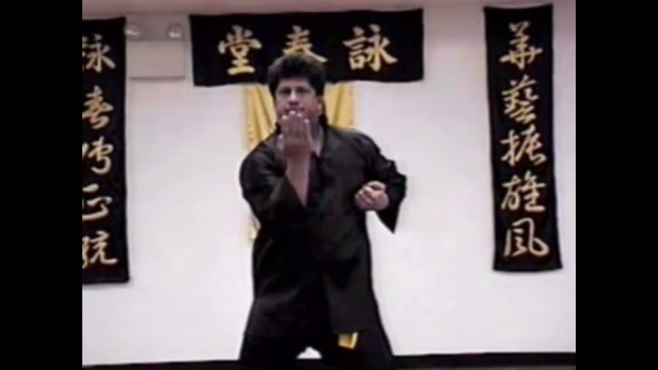 Sifu Keith Mazza - Advanced Sil Lum Tao with Explanation (Rare Footage)
