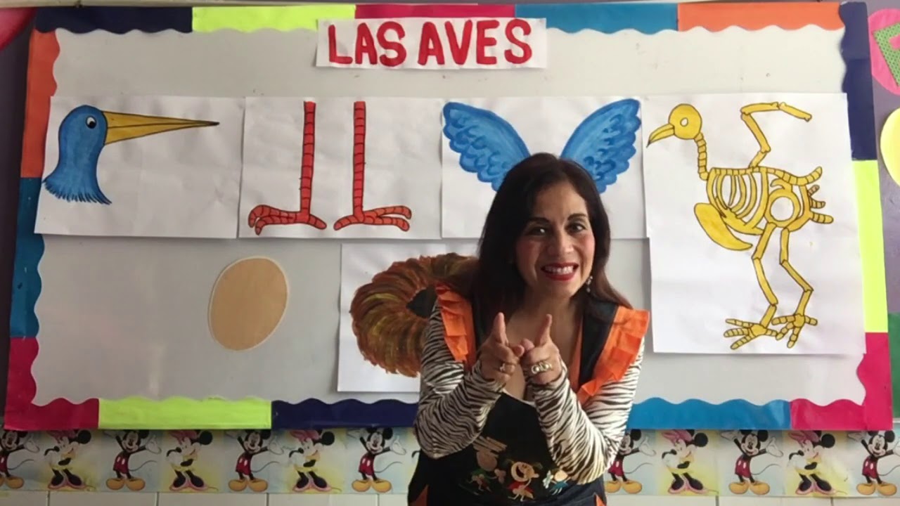 LAS AVES