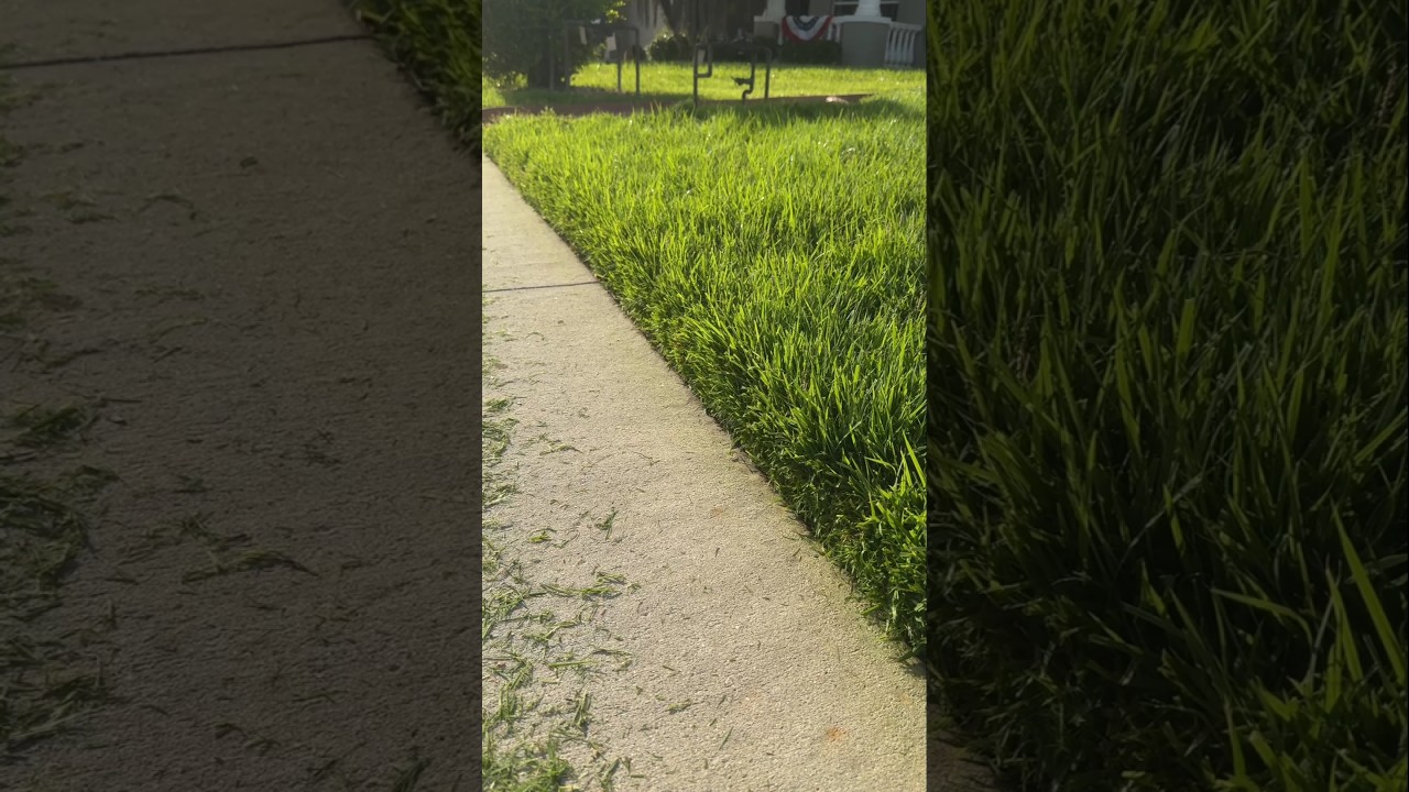 Which Is Better? String vs Bladed Edger #lawn #lawncarenut