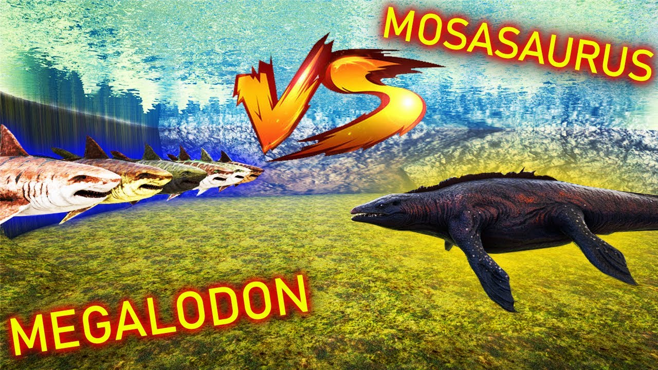 HOW MANY MEGALODONS TO BEAT A MOSASAURUS? | Ark Battles | Thyrulous