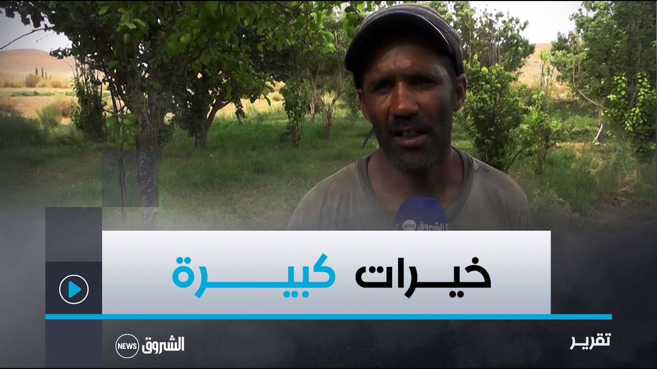 تمنراست.. حقول وبساتين مدينة تازروك.. عندما تجود الأرض بأفضل الخيرات