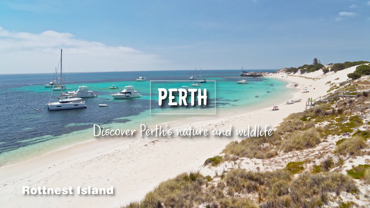 Perth, discover Perth&rsquo;s nature and wildlife