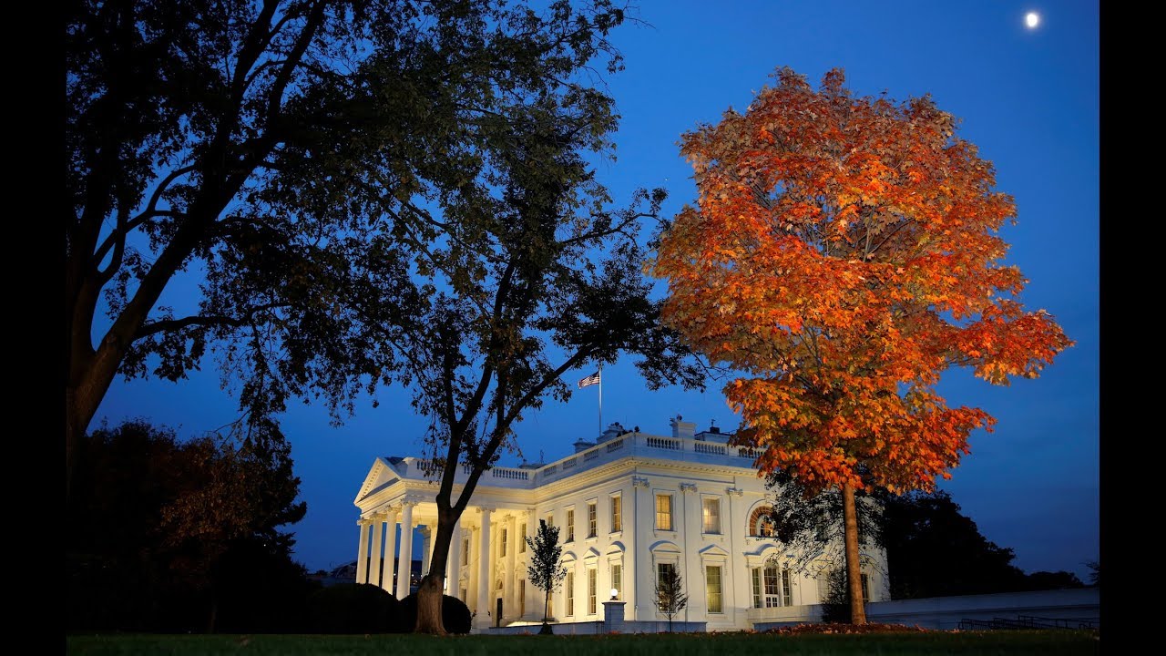 Is expanding presidential power inherently bad for democracy?