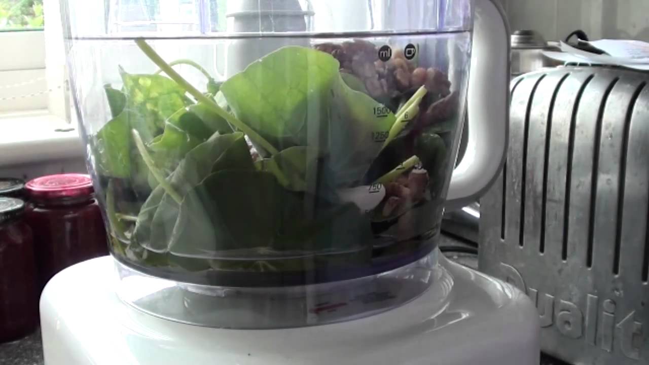 How to make nasturtium pesto