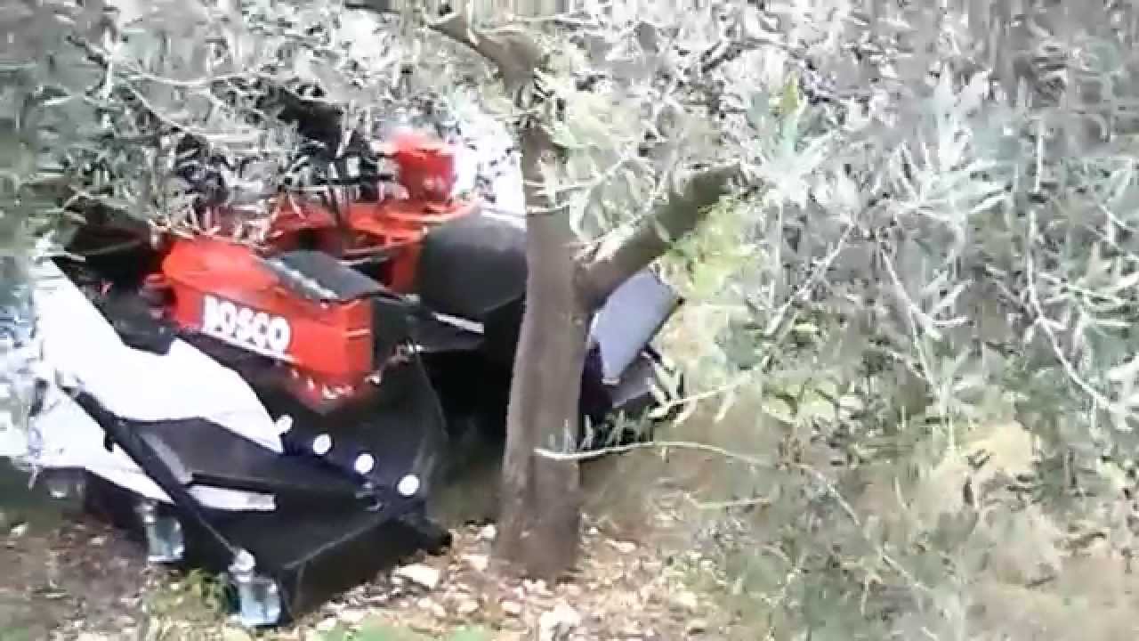 BOSCO semovente F802 Testata vibrante MAC102 + Ombrello .5mt. per raccolta olive al lavoro a Firenze