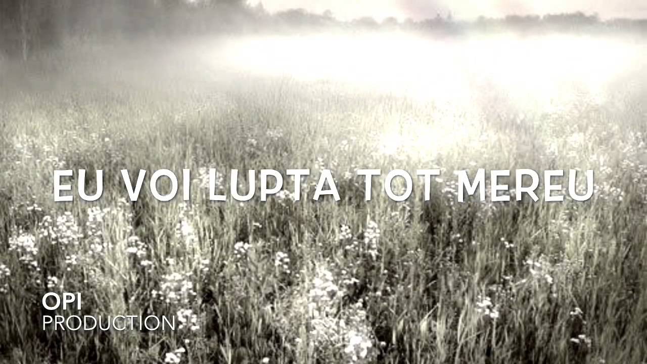 ME TUT KAMAU NEGATIV - VERSURI 2015 [MARIUS DE LA BARBULESTI]