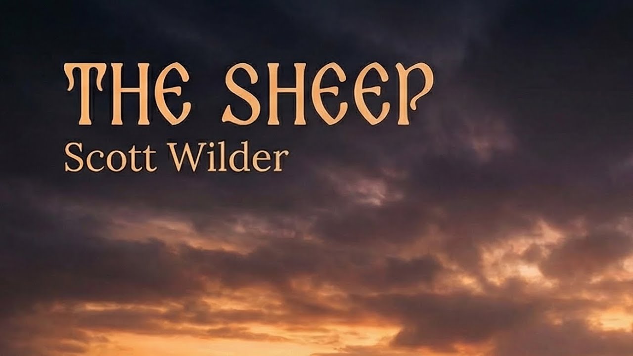 The Sheep: A Ballad of Fate & Eternity | Scott Wilder #fyp 
