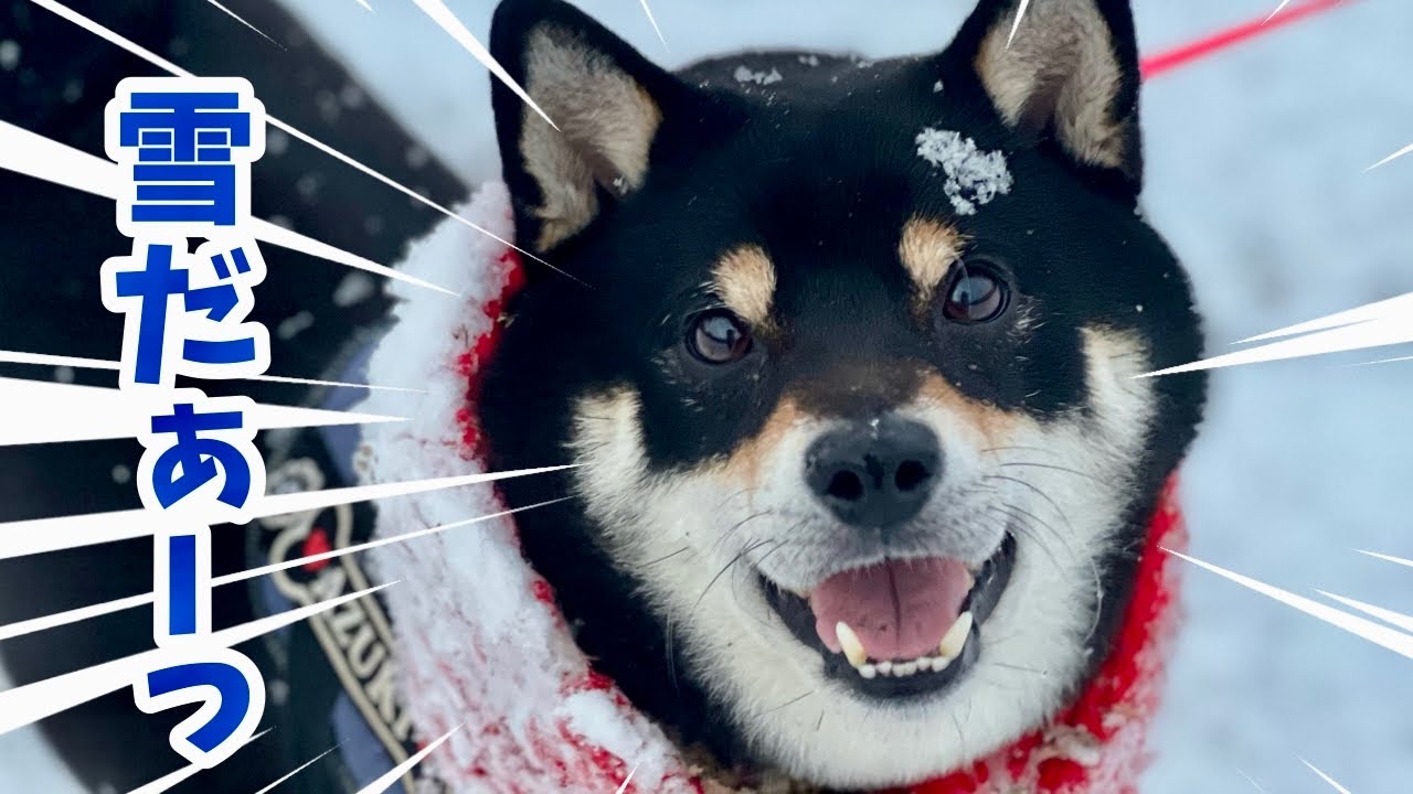 今季初の雪遊び！