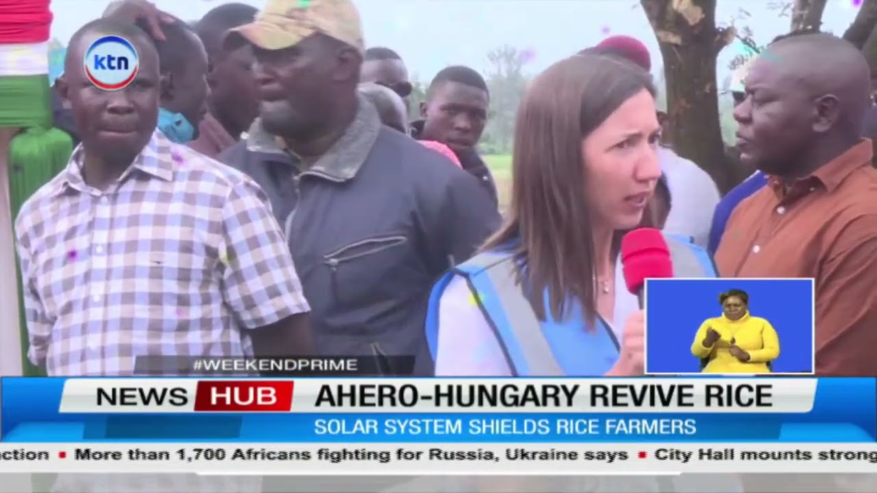 Solar-powered irrigation to transform Ahero farms