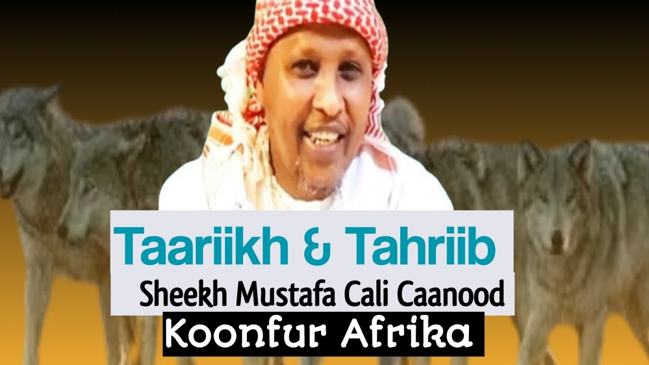 Taariikh & Tahriib | Sh. Mustafa Caanood | Koonfur Afrika